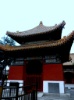 SAM_0154.jpg