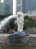 CIMG0170.jpg