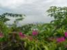 SNV81315.jpg